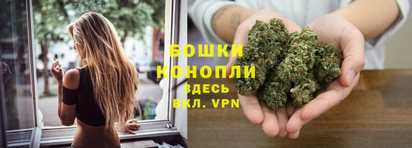 индика Богданович