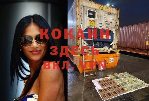 индика Богданович
