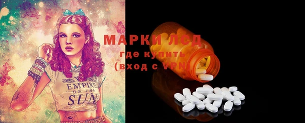 индика Богданович