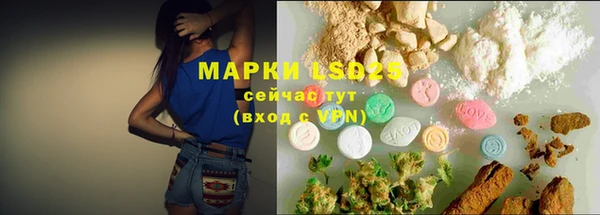 индика Богданович