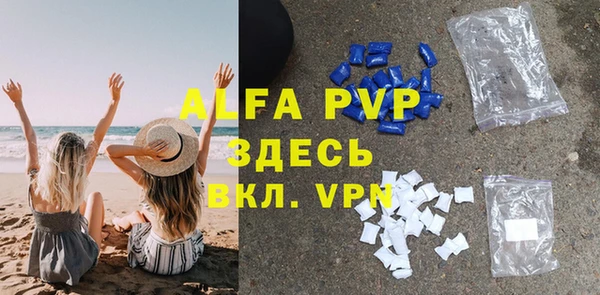 индика Богданович
