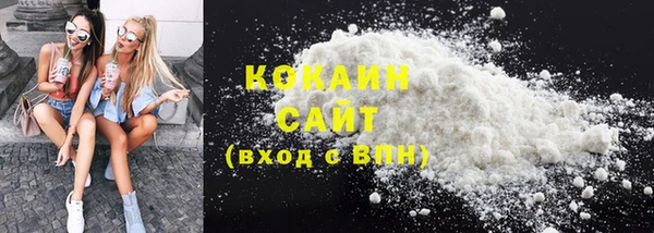 индика Богданович