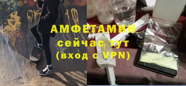 индика Богданович