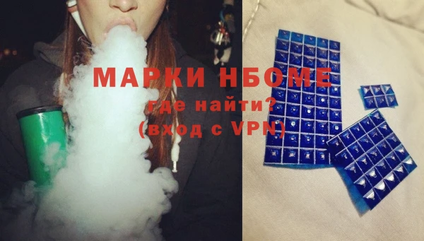 индика Богданович