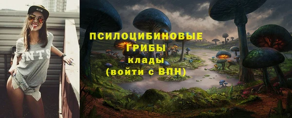 наркотики Богородицк