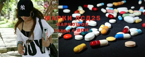 индика Богданович