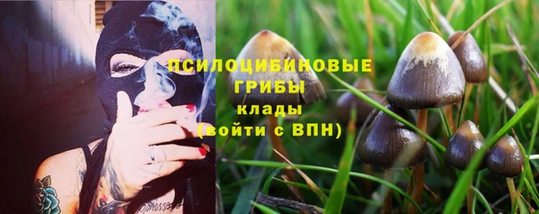 индика Богданович