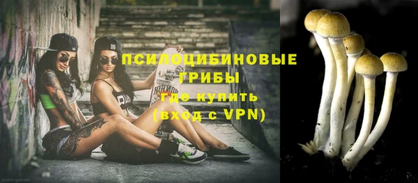 индика Богданович