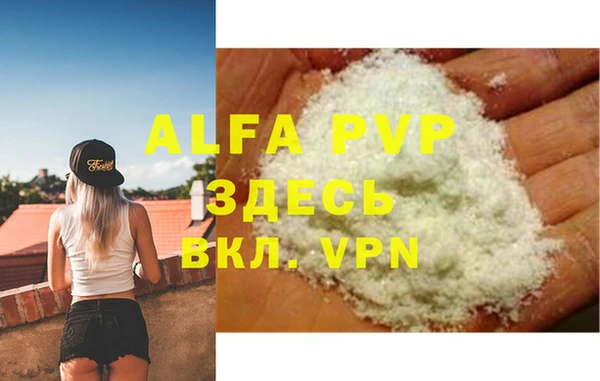 индика Богданович