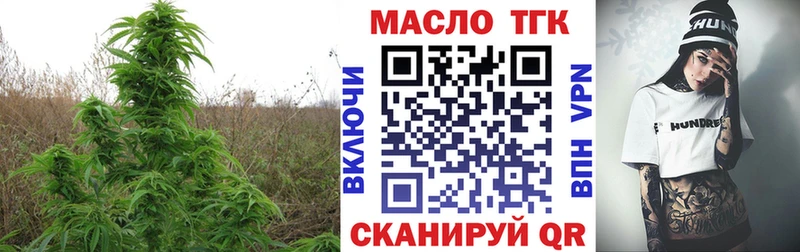 наркота  KRAKEN ТОР  ТГК вейп с тгк  маркетплейс официальный сайт  Новоржев 